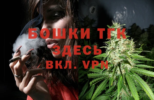 гидра Балахна