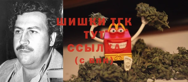 гидра Балахна