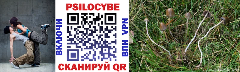 Псилоцибиновые грибы Magic Shrooms  ссылка на мегу зеркало  Новоалтайск 